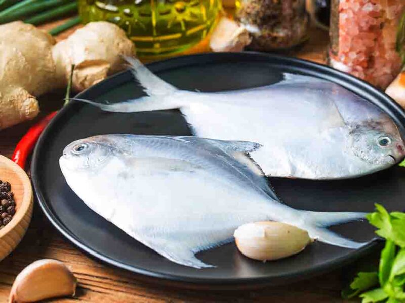 White Pomfret